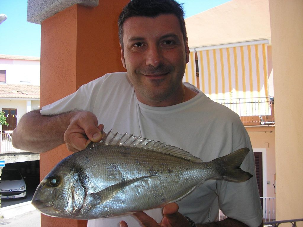 DAVIDE GORI ORATA 1,8 Kg.jpg